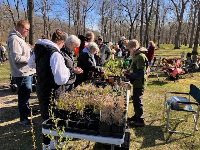 Shoppers choosing plants at the tables at a LEN tree and plant sale