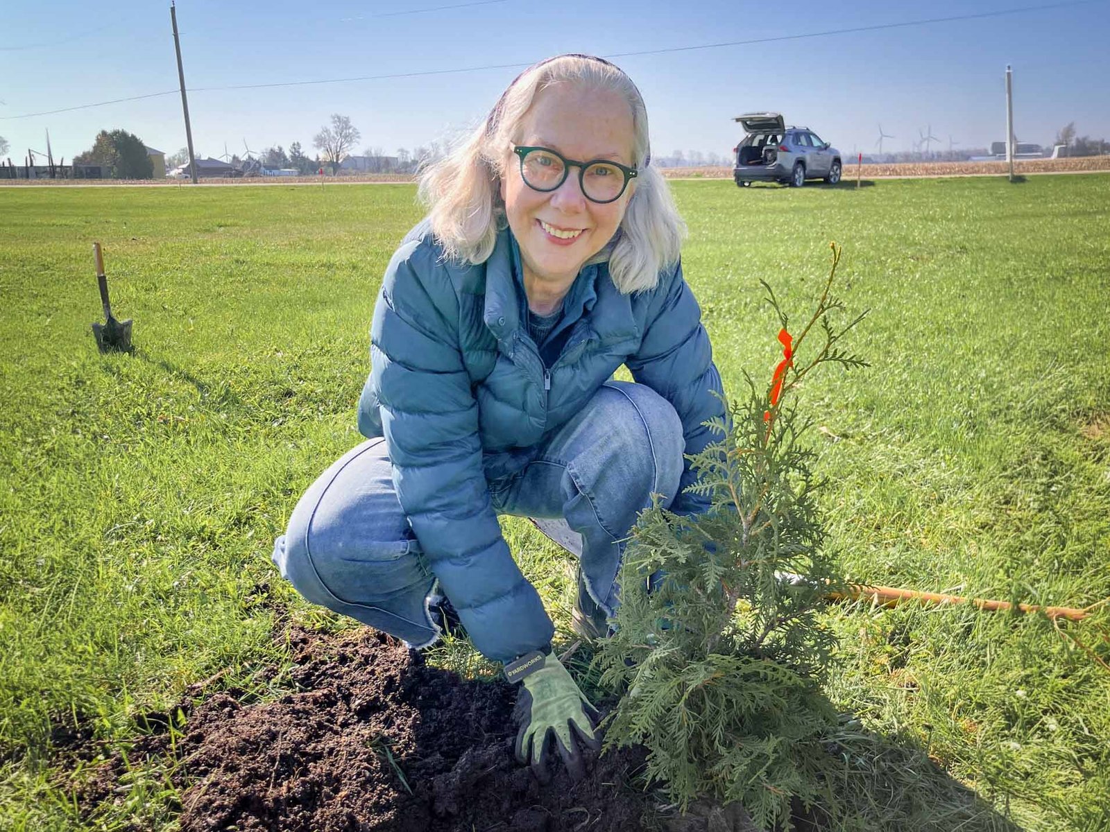 A volunteer planting a young cedar at Klondyke Sports Field