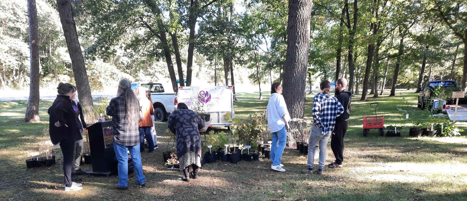 Shoppers at the tables under the trees at the fall sale, October 2024
