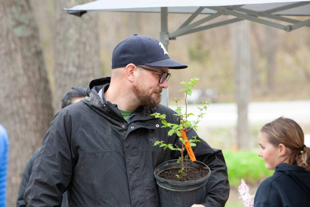 A shopper carrying a potted hazelnut seedling