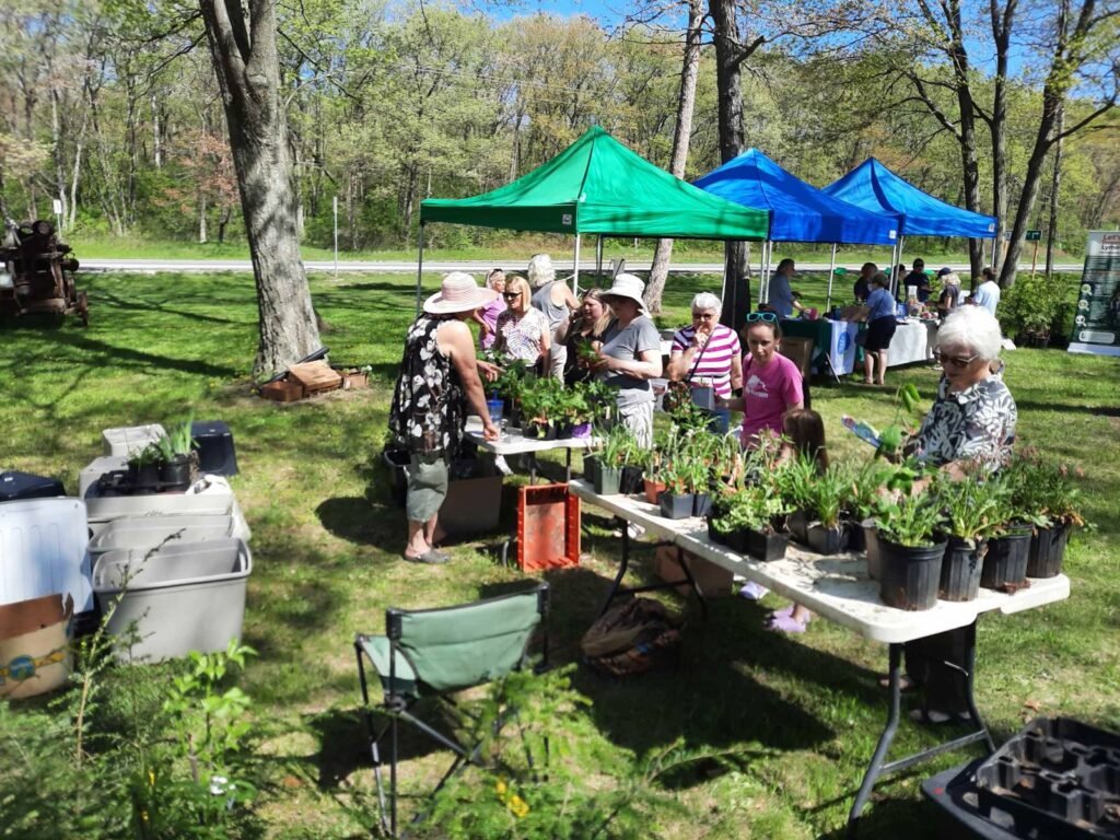 Shoppers at tables of native plants under growers' tents